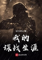 我的谍战生涯免费txt下载